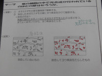 CIMG2873