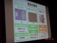 DSC02913⑤