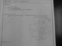 CIMG1807