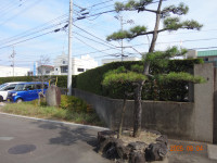 DSC03243②