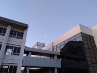 IMG_2026-03-10-06-13-56-965①